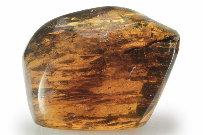 Polished Chiapas Amber ( grams) - Mexico #232577